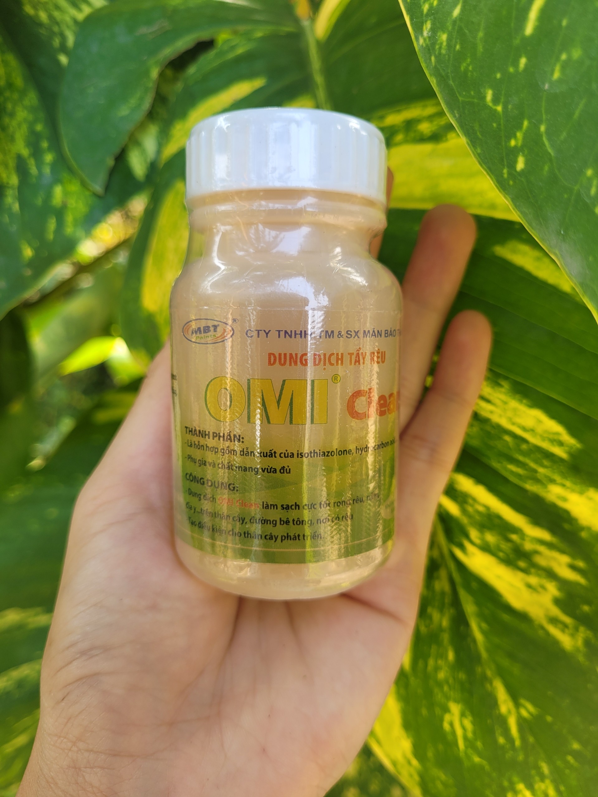 Tẩy rửa rong rêu trên thân cây, nền xi măng, bê tông OMI CLEAN hủ 100ml