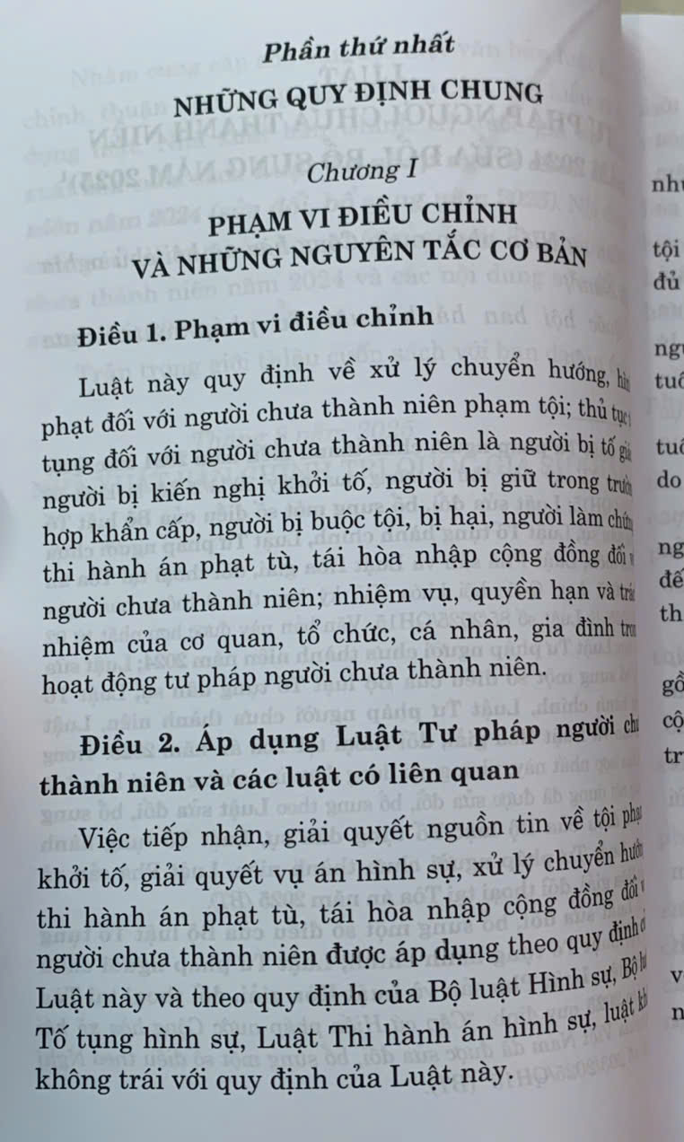 Luật Tư pháp người chưa thành niên năm 2024 (sửa đổi, bổ sung năm 2025)