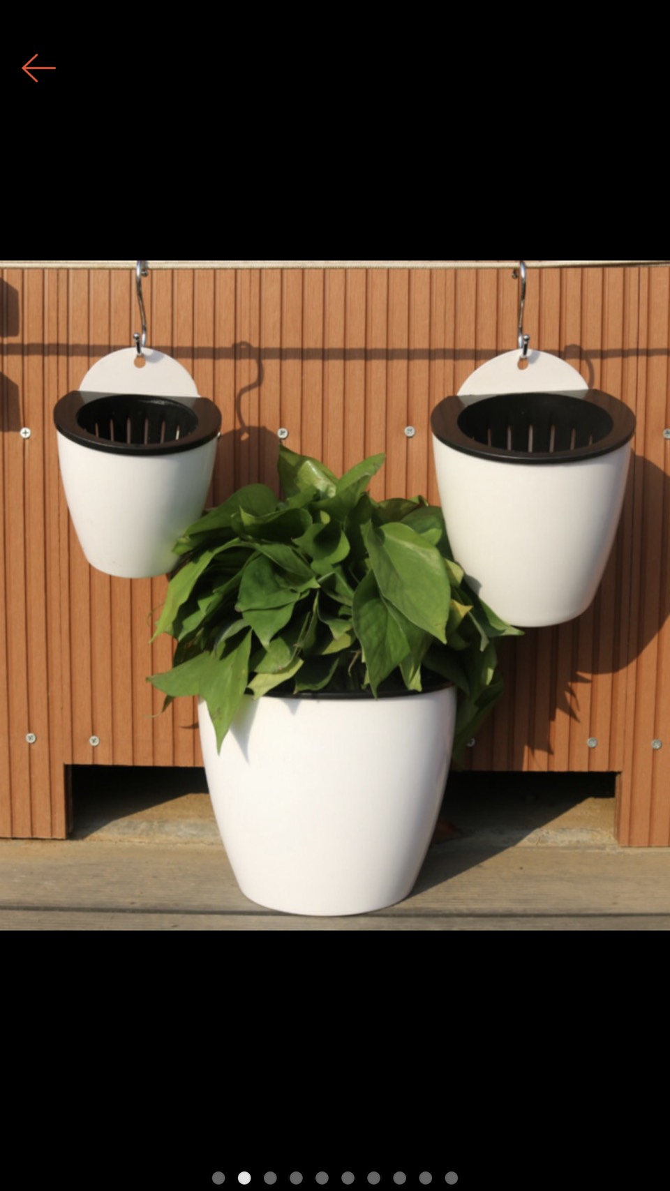 Chậu Treo Tường Trồng Cây Thuỷ Sinh - Thuỷ Canh rộng 13x cao13cm
