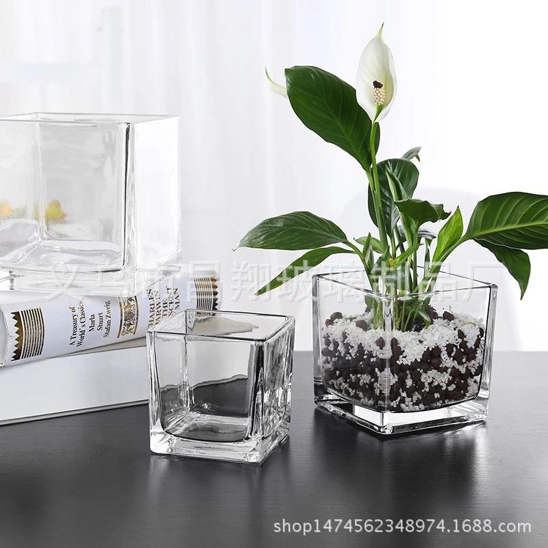 Lọ thủy tinh hình vuông, chậu trong suốt, chuyên dùng trồng cây thủy sinh, cắm hoa để bàn, decor nội thất