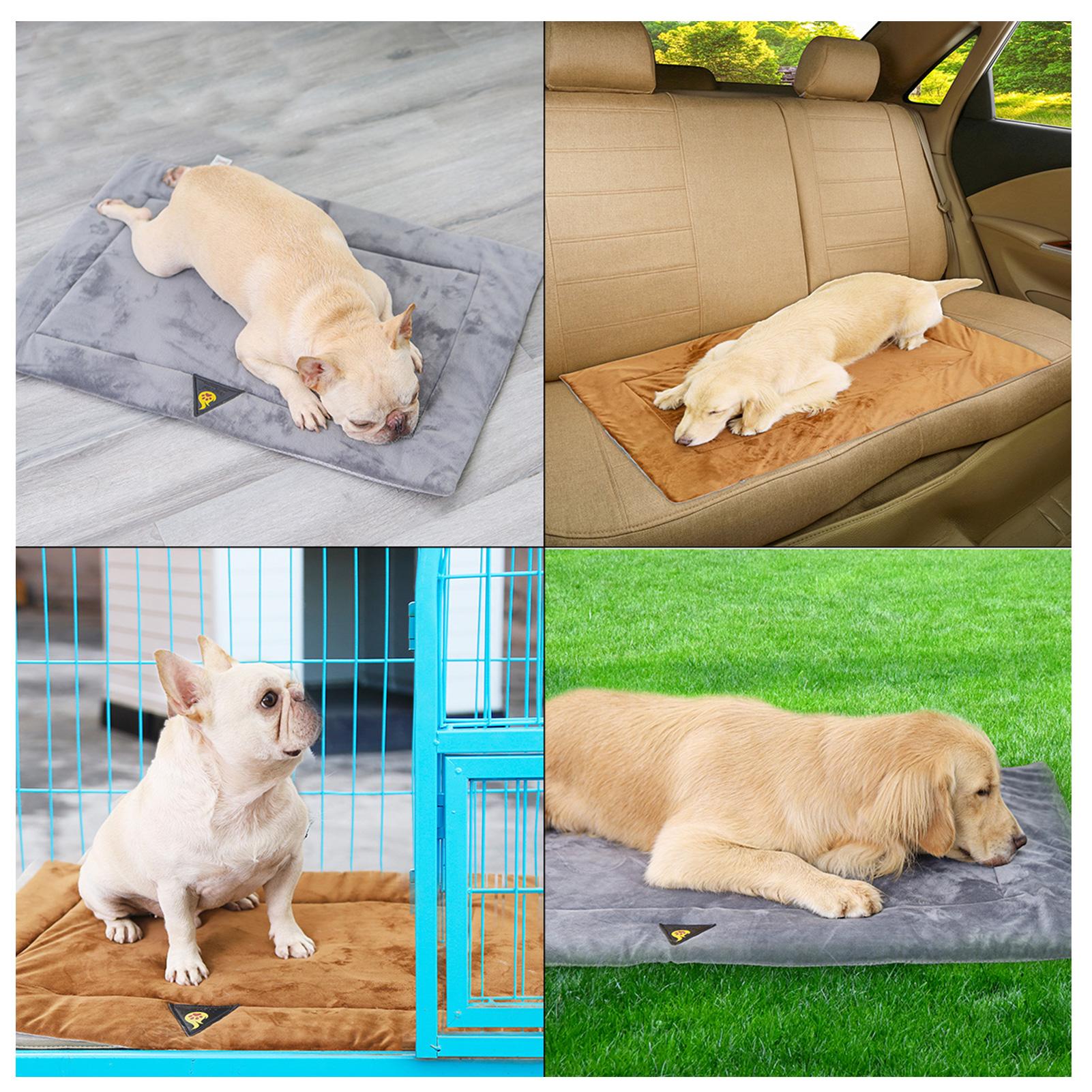 Thảm Lót Giữ Ấm Cho Thú Cưng