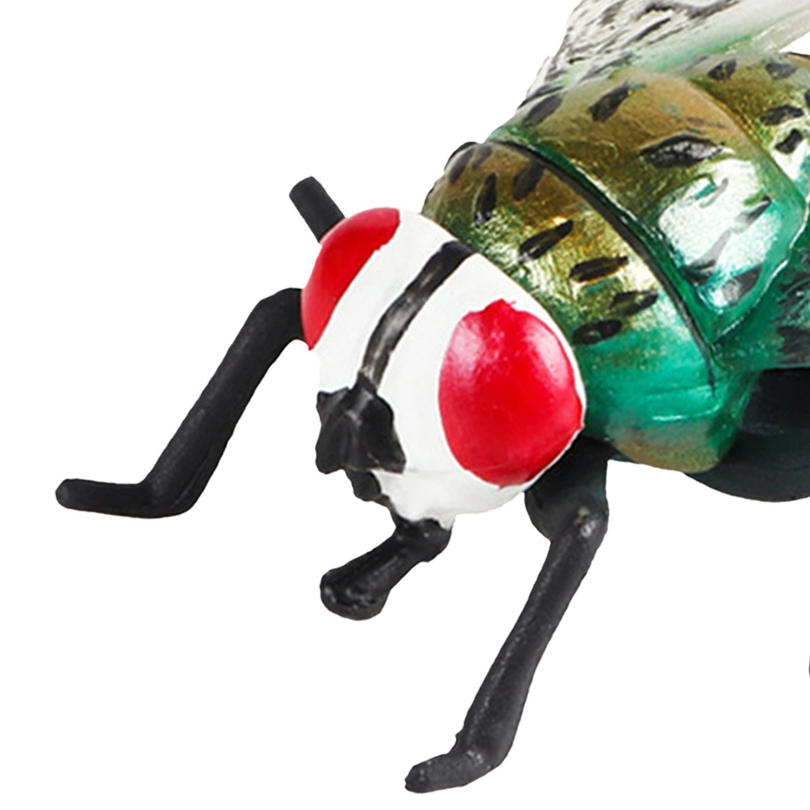 Realistic Fly Toys Educational Learning Toy Party Supplies for Boy Toddlers