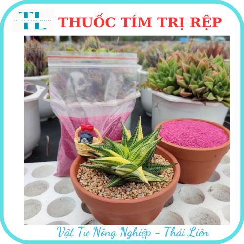 Thuốc tím trị rệp, Starkle-G, bao 50gr, lưu dẫn, an toàn, hiệu quả, dùng cho sen đá, xương rồng