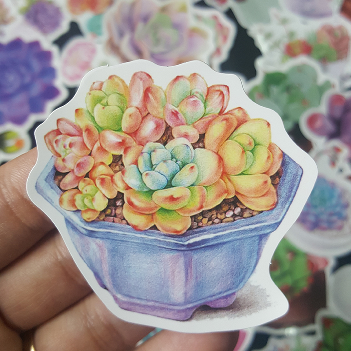 Bộ Sticker dán cao cấp chủ đề SEN ĐÁ SUCCULENTS - Dùng dán Xe, dán mũ bảo hiểm, dán Laptop