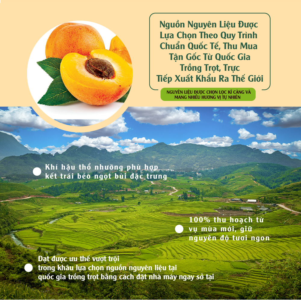 Mơ Khô Tự Nhiên Nhập Khẩu Thổ Nhĩ Kỳ - Dried Apricots 380gram