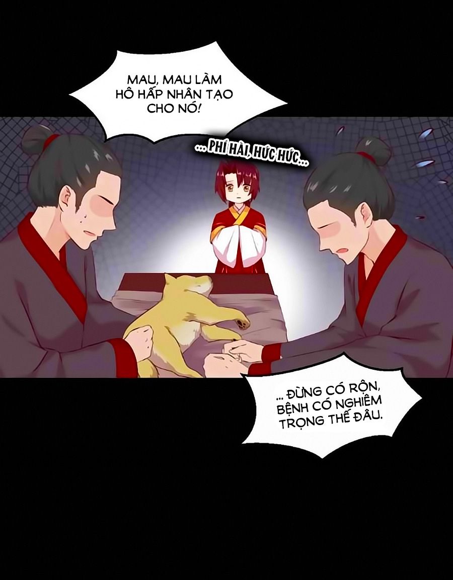 Thịnh Thế Đế Vương Phi chapter 38 - Trang 6