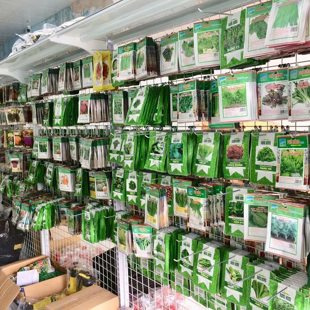 Hạt Giống Rau Dền Đỏ Lá Tròn Gói 20G, Rau Trồng Sân Thượng - Khu Vườn Ban Công