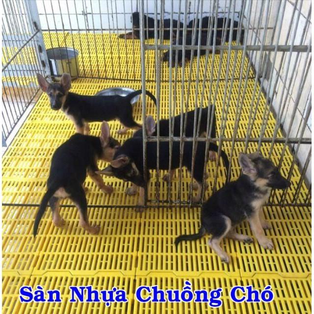 TẤM SÀN NHỰA LÓT CHUỒNG CHÓ , LỢN , GÀ , MÈO , CHIM ....