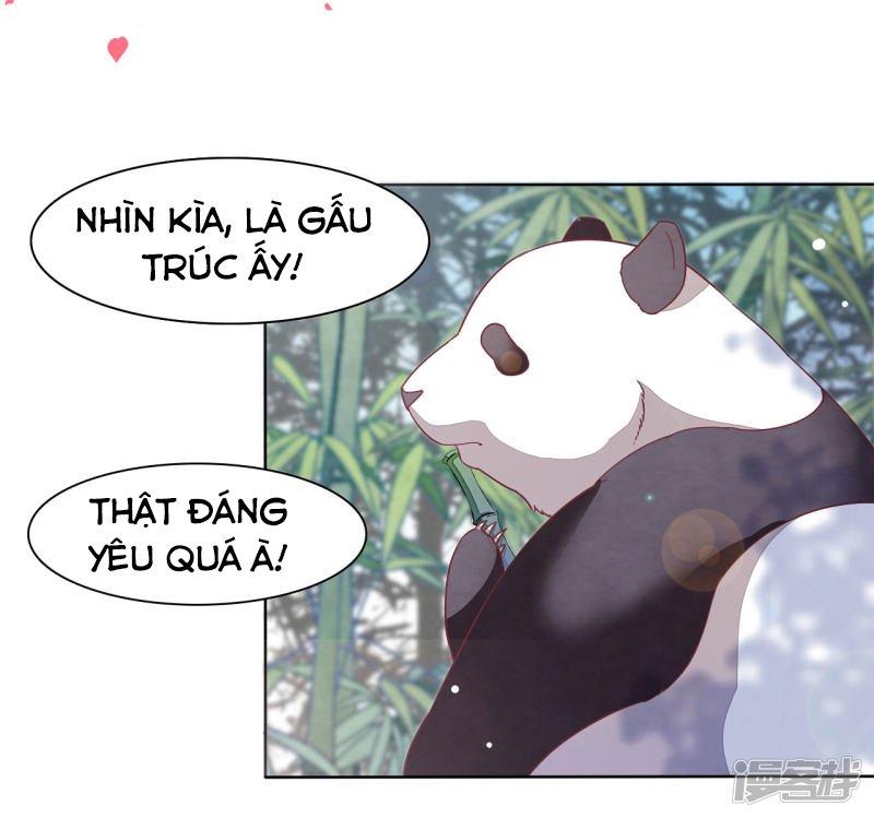 xuyên về cổ đại làm quốc bảo chapter 0 10