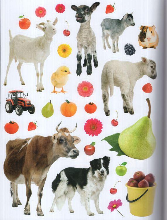 Sách ngoại văn: Farm Sticker Activities