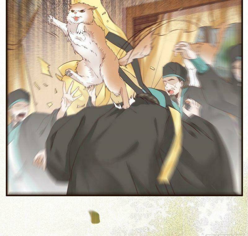 sát thủ vương phi không dễ chọc chapter 33 50