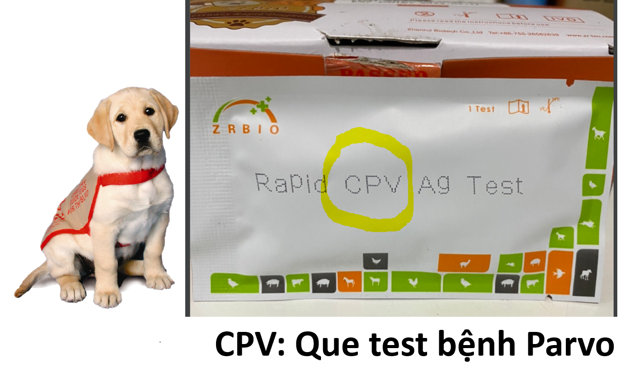 (1 Kít test) Que test bệnh chó mèo dụng cụ xét nghiệm ệnh chó Parvo CPV Care CDV FPV cho mèo