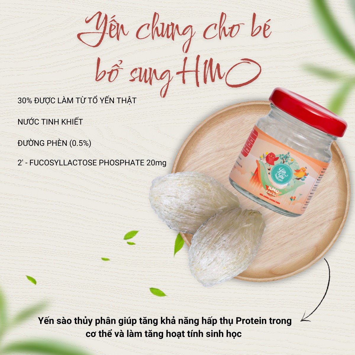 Yến Thị- Gói yến dành cho bé-Yến kird bổ sung canxi, HMO-hũ 42ml- Yến sào Nha Trang