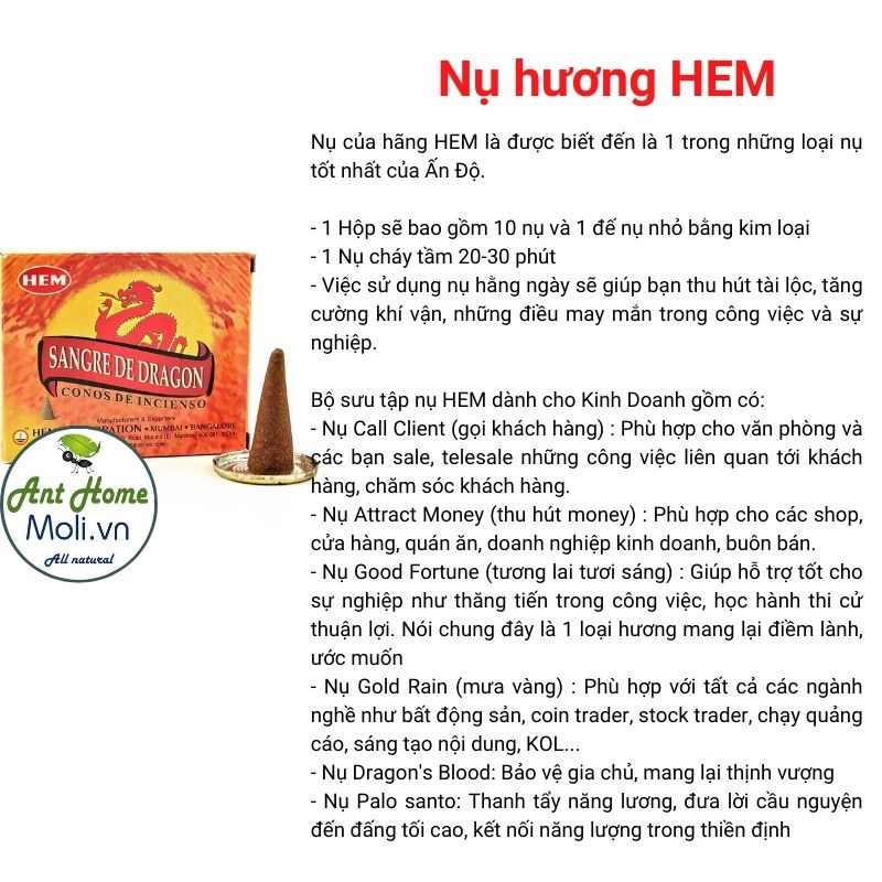 Hương nụ HEM - RAJ.. (HEM Cones) - Hương Ấn Độ cao cấp - Thu Hút Tài Lộc, Hỗ Trợ Sự Nghiệp