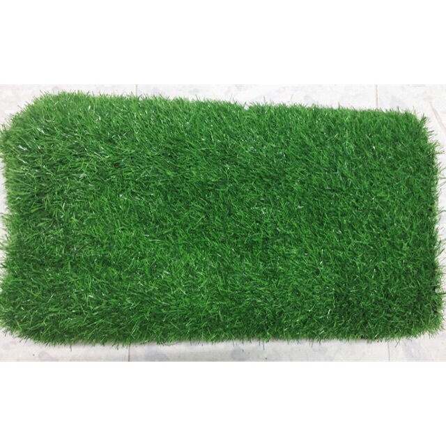 Thảm cỏ trải sàn 2,5cm