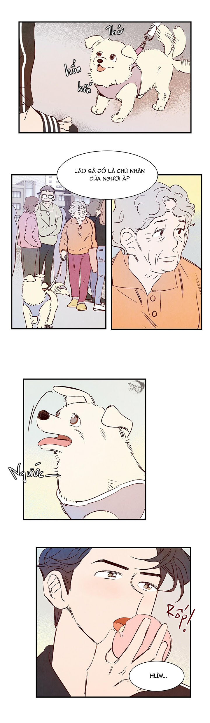 chuyện tình của woonwoo chapter 5 17