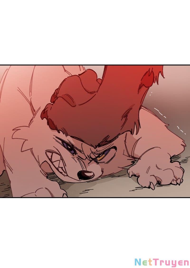 lumine - cội nguồn ánh sáng chapter 107 20