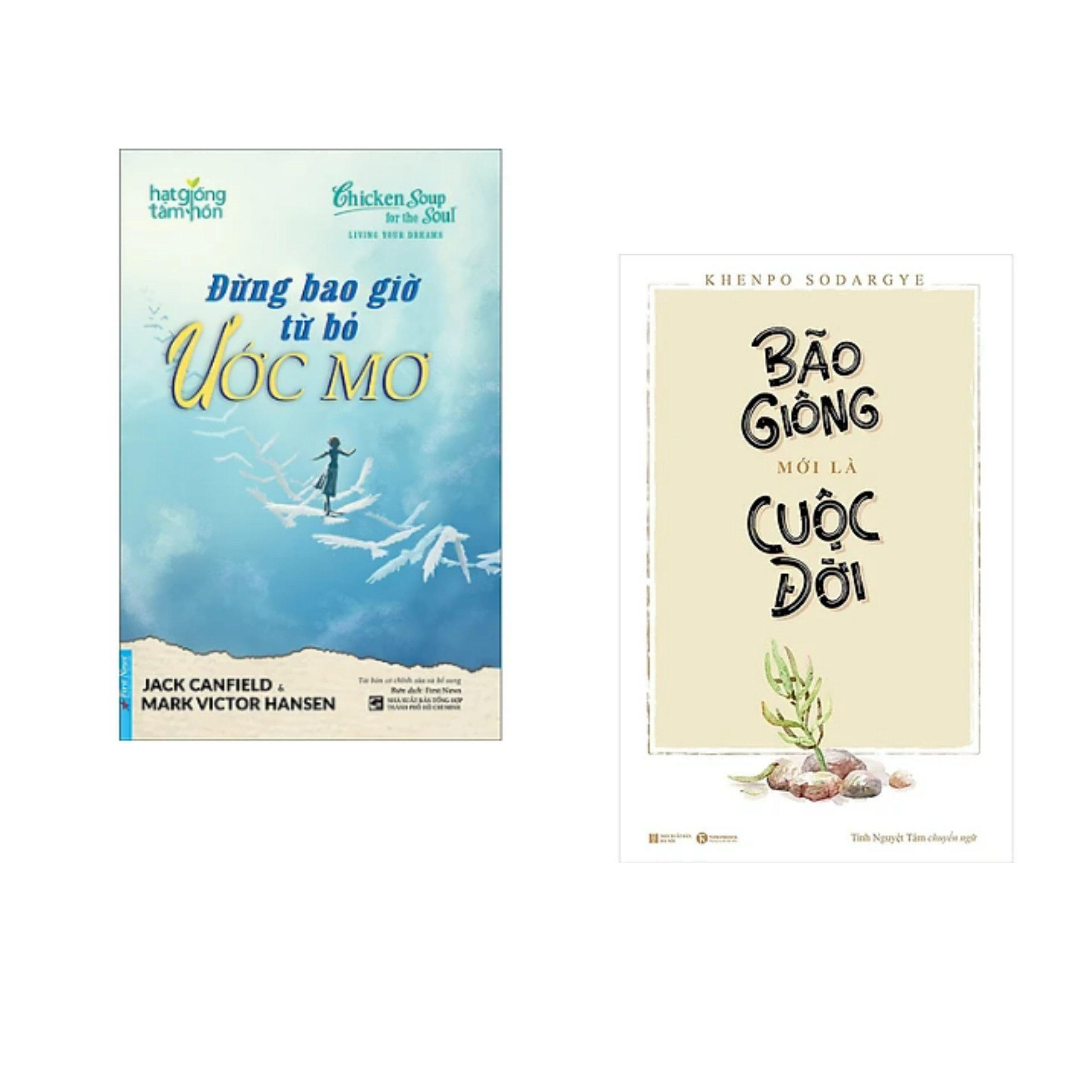 Combo sách Rèn Luyện Kĩ Năng Sống Hay: Đừng Bao Giờ Từ Bỏ Ước Mơ+ Bão Giông Mới Là Cuộc Đời / Tặng Bookmark Happy Life Chờ duyệt tự động