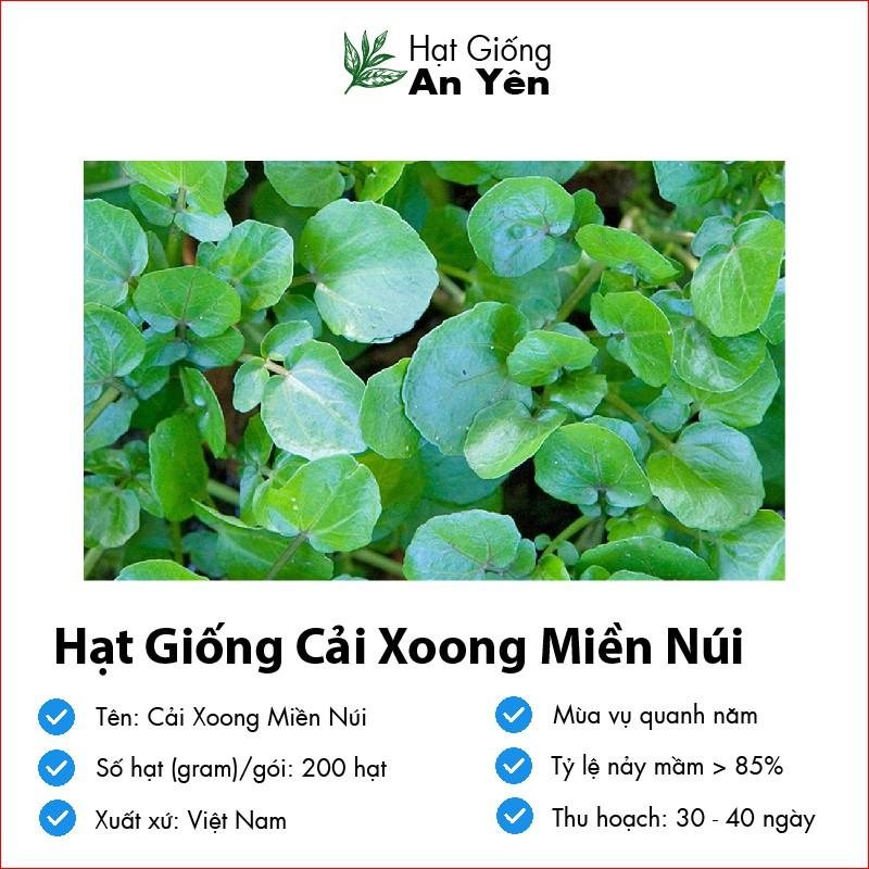 Hạt giống Xà Lách Xoong, nhanh thu hoạch, dễ trồng, nảy mầm và năng suất cao