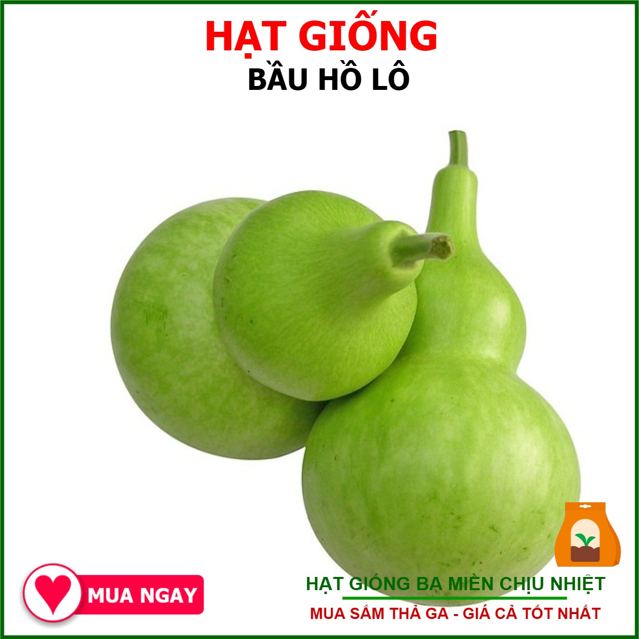 Hạt giống Bầu Hồ Lô 1g năng suất cao