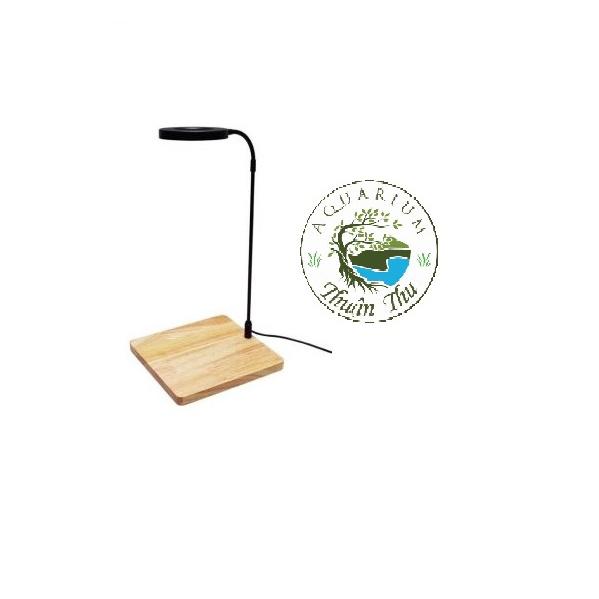 Đèn led đế gỗ ánh sáng trắng 7W cho bể thủy sinh, tiểu cảnh biotop