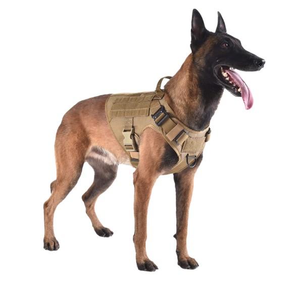 Đai lưng, đai yếm huấn luyện cho chó đủ size , áo giáp huấn luyện chó tam giác