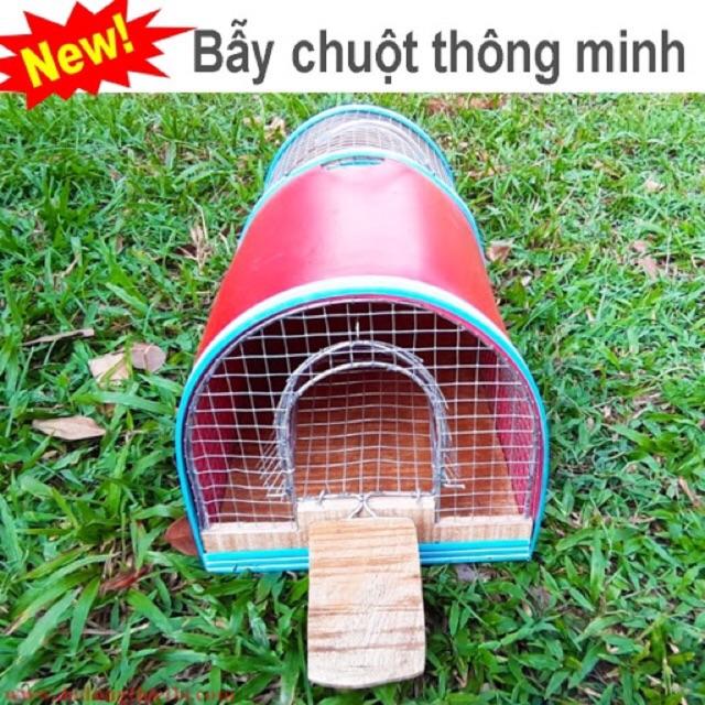 Bẫy chuột nhiều con thông minh - nhiều kích cỡ ĐẠI, TRUNG - có sẵn tại cửa hàng có thể mua trực tiếp