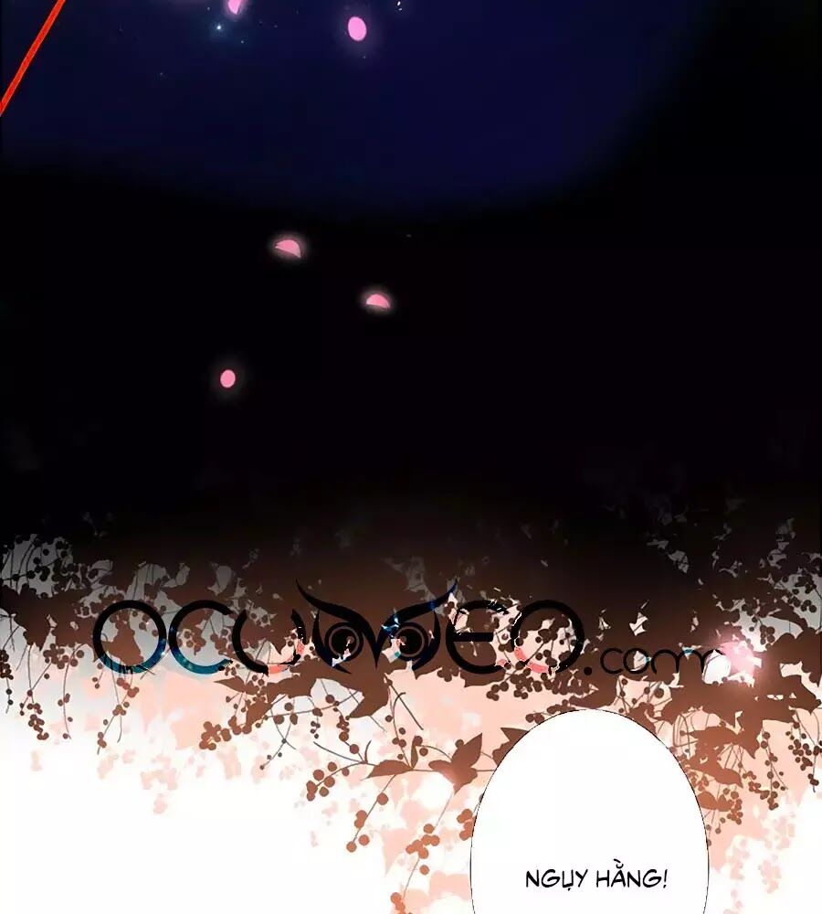 hoa chưa nở rộ chapter 23 4