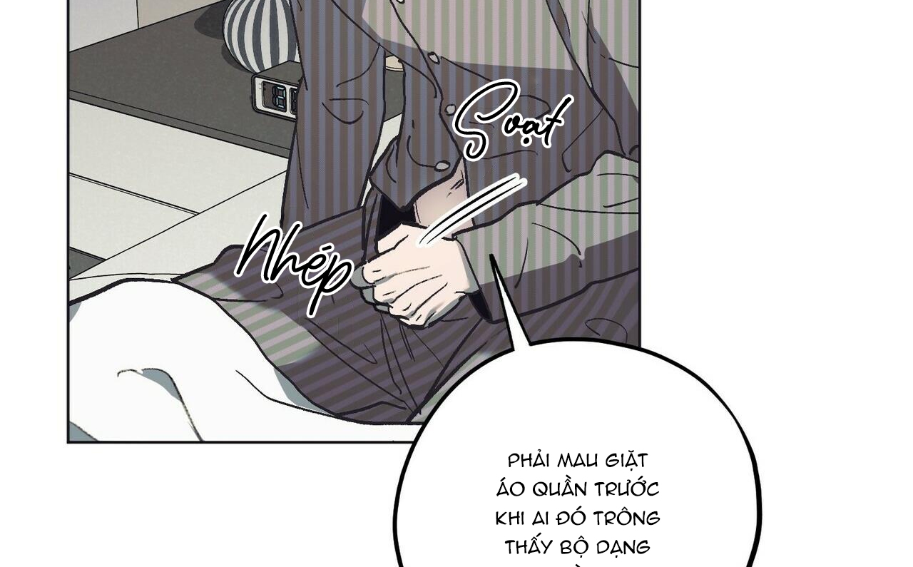 chàng dâu nhà họ kang chapter 18 81