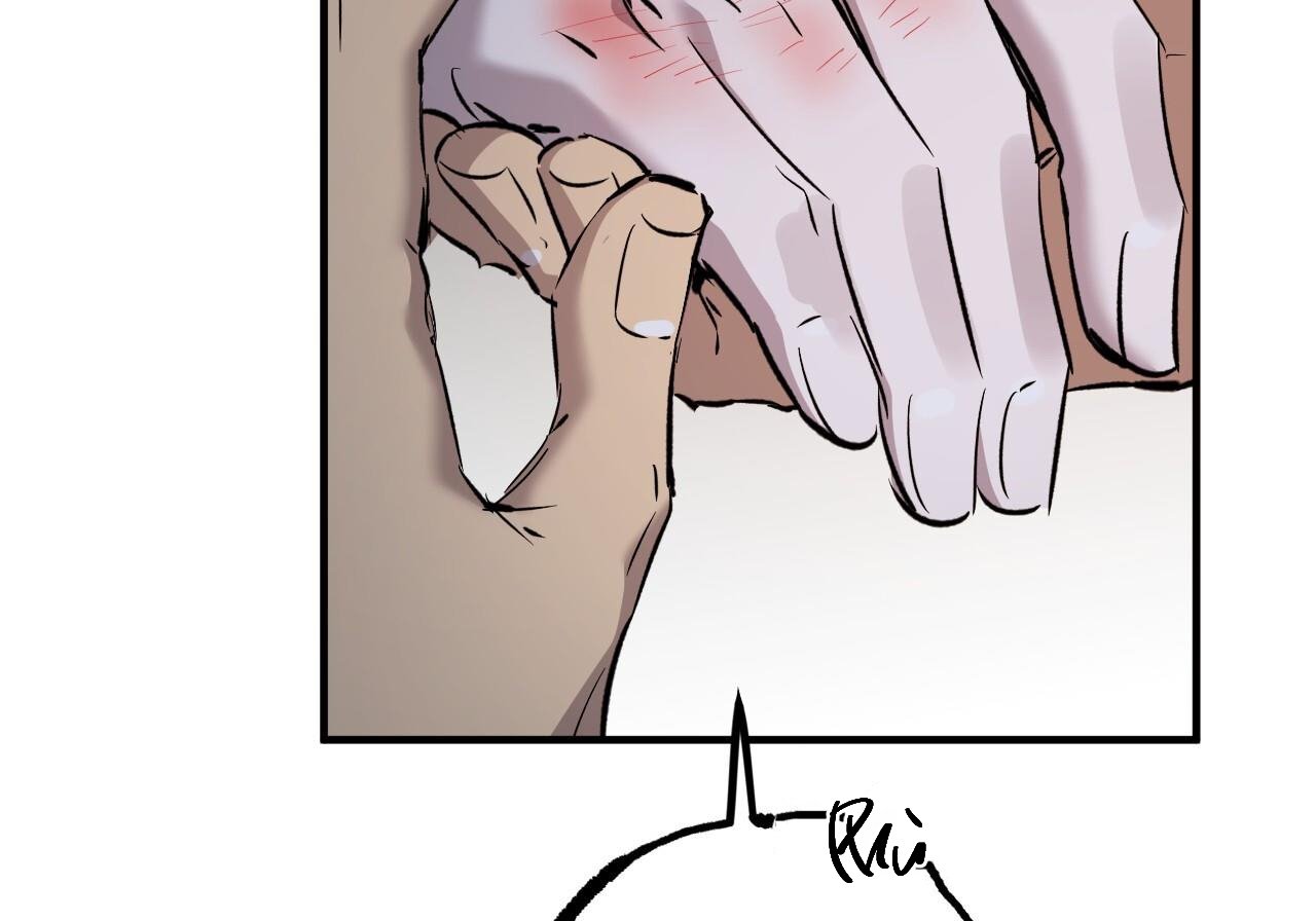 những chú thỏ của hapypy chapter 60 195