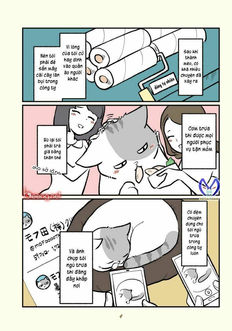 mèo công sở chapter 1 5