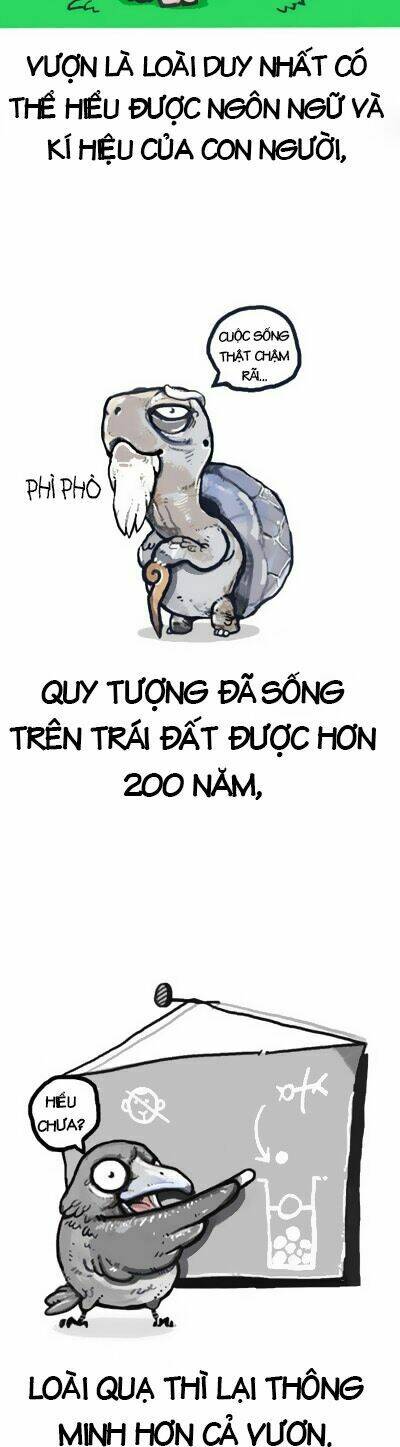 earth, human, and animal chapter 0 8