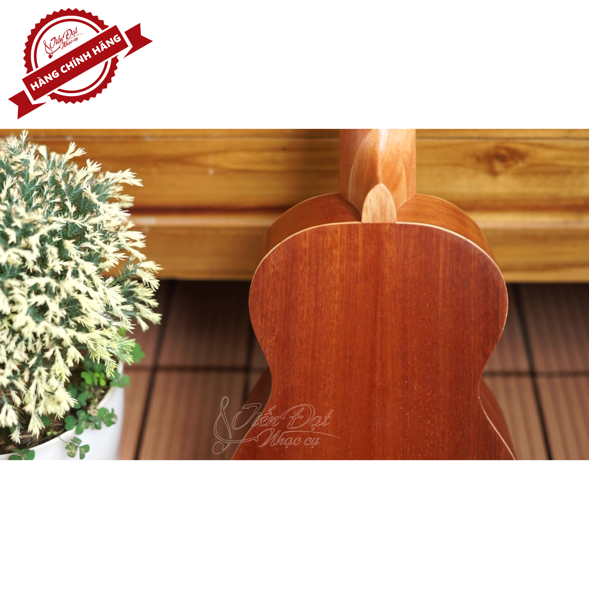 Đàn Ukulele Soprano CHARD U-21H, Mặt Đàn Gỗ Gụ