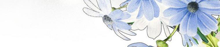 xin hãy kết hôn với em chapter 37 227