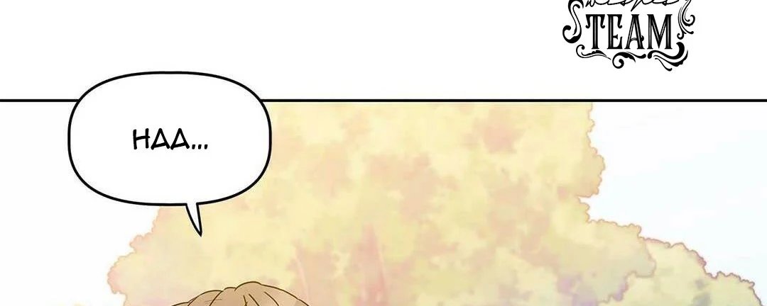 guide cấp b chapter 11 30