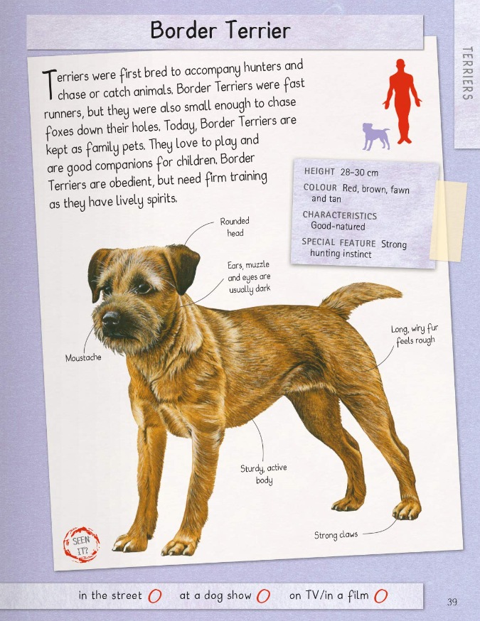 Dogs Handbook