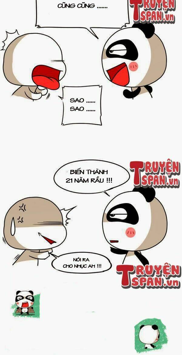 gấu ngốc và những người bạn chapter 14 6