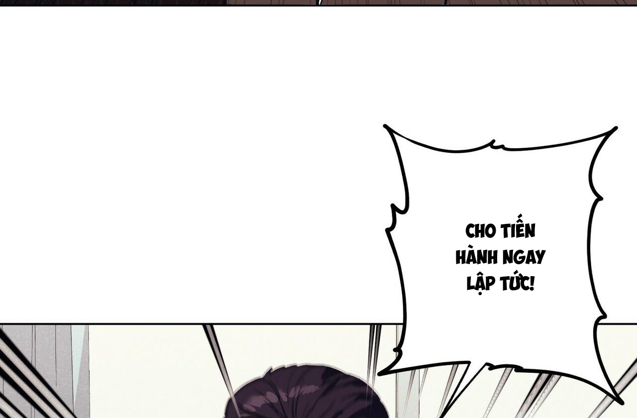 chàng dâu nhà họ kang chapter 9 50