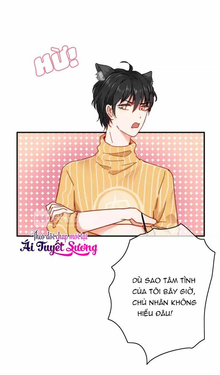 thập quang mật ngữ chapter 11.5 9