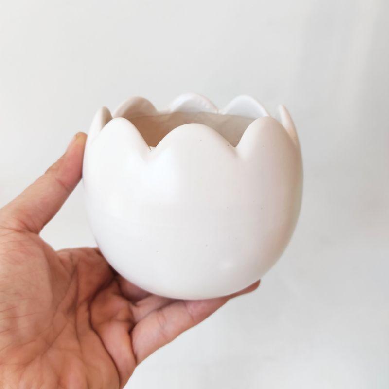 Chậu sứ hình trứng trồng cây siêu cute, đáng yêu, phù hợp trồng cây cảnh để bàn trang trí không gian sống
