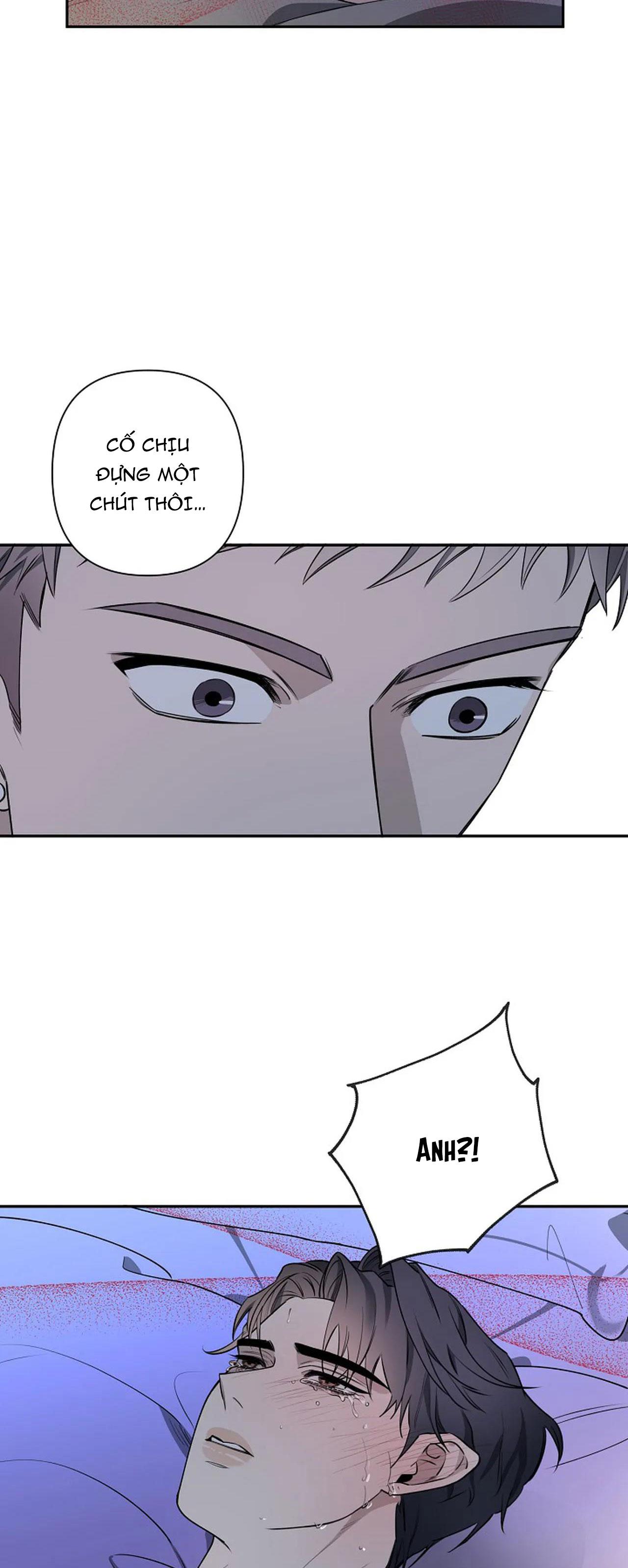 đêm dịu dàng chapter 38 9