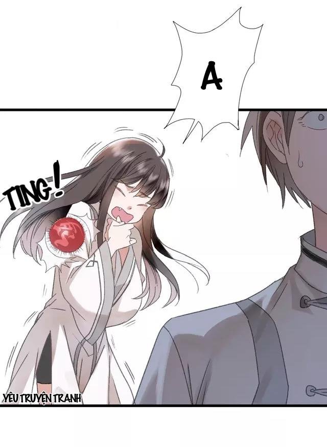 thực nhị chapter 19.2 8