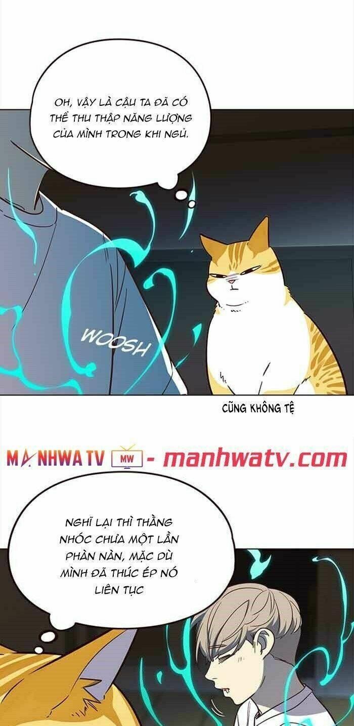 biến thân thành mèo chapter 23 34