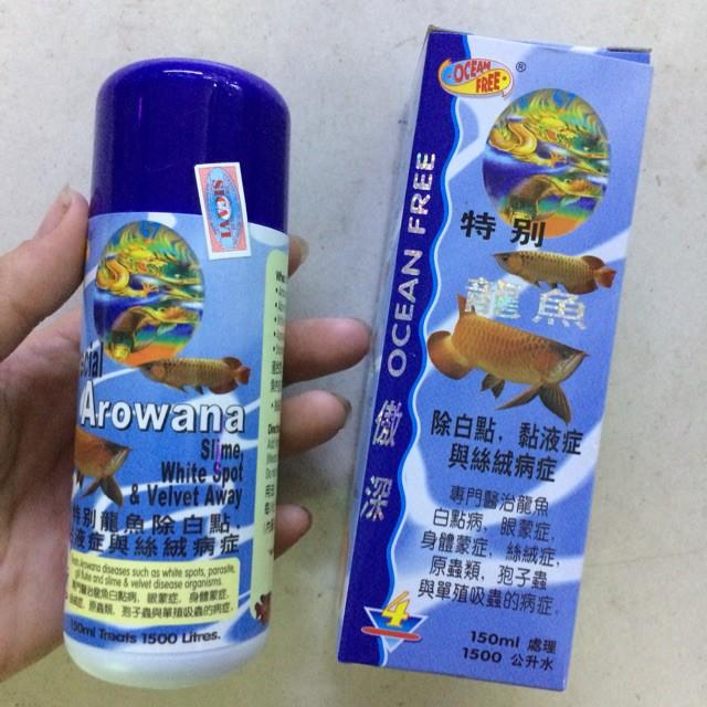 CÁ RỒNG CHAI SỐ 4 OCEAN FREE