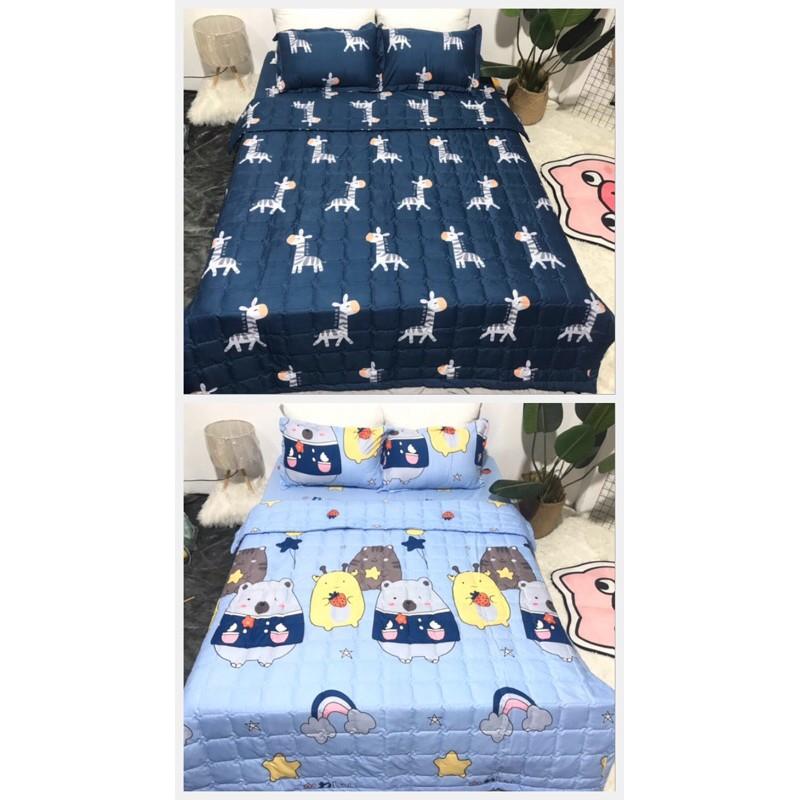 Bộ ga gối chăn trần hè cotton poly 1m6x2m