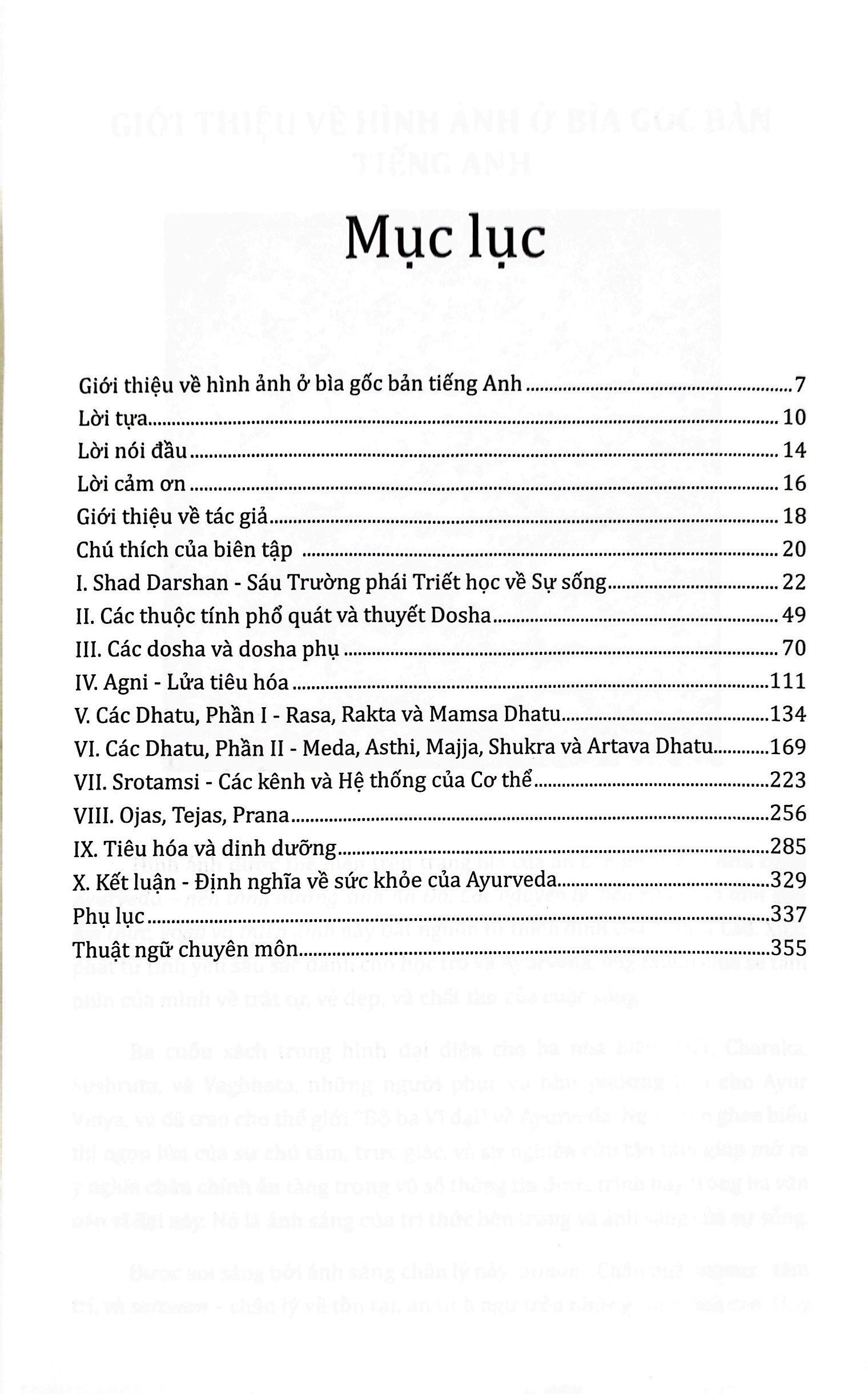 Ayurveda - Nền Tảng Dưỡng Sinh Ấn Độ