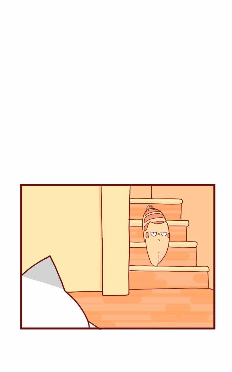 saphie: chú mèo một mắt chapter 10 9