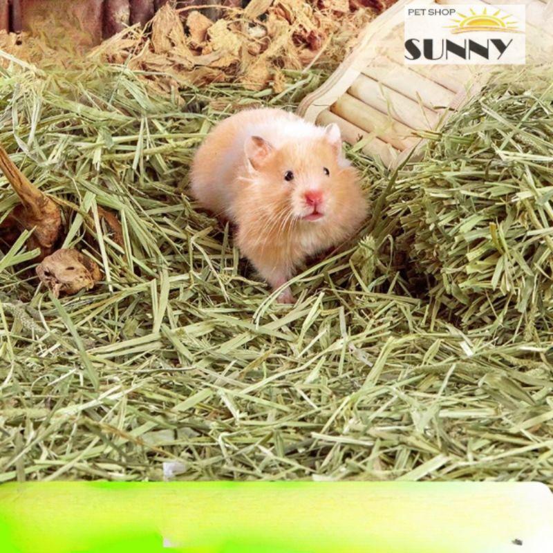 Cỏ khô mix hoa lót đệm chuồng, làm hang trú, tạo ổ hamster/sóc gói 100g