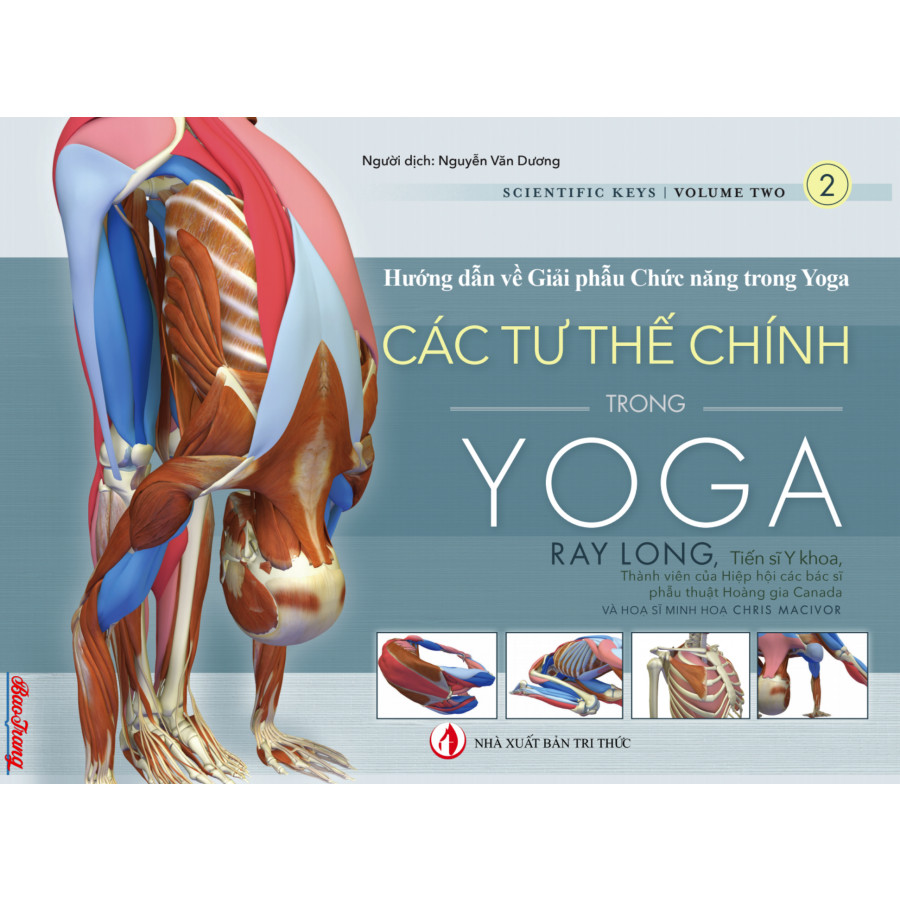 Các Tư thế Chính trong Yoga - Hướng dẫn về Giải phẫu Chức năng trong Yoga