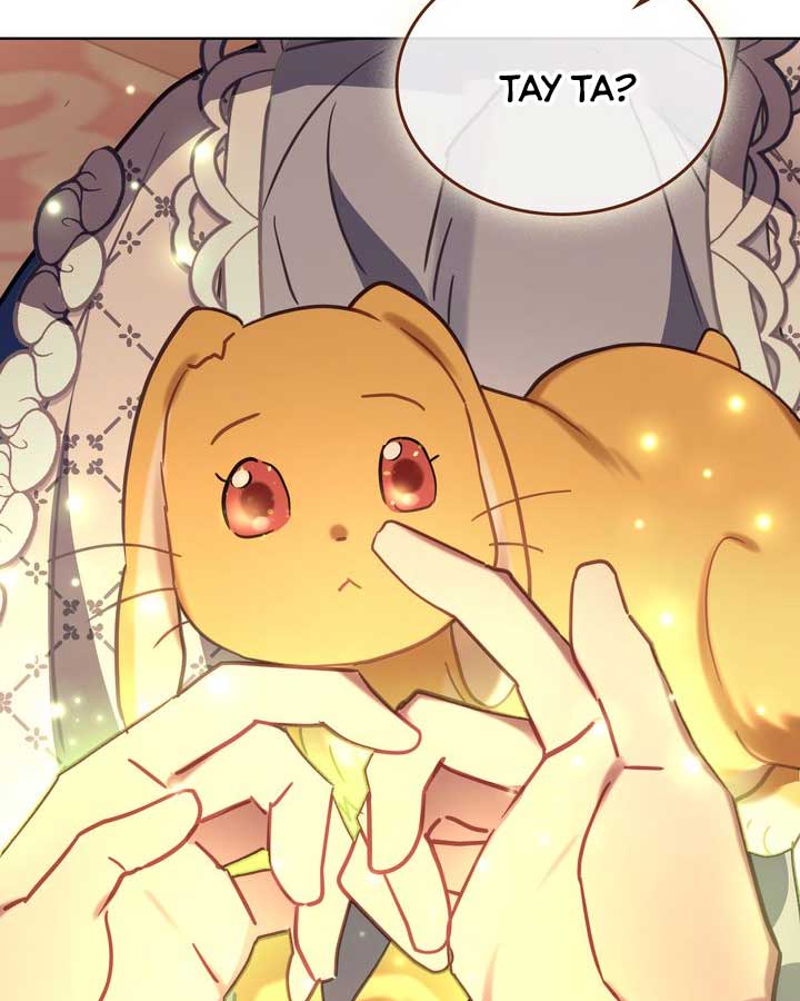 công chúa muôn loài chapter 29 9